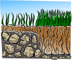 lawn-care-soil-depth-350.png