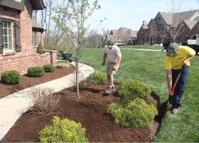 Shovel-Edge-Mulch1