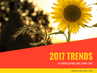2017 Trends in Landscaping and Lawn Care