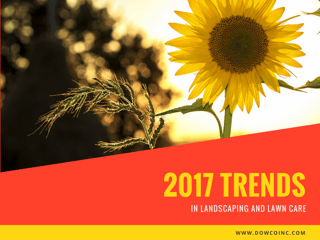 2017 Trends in Landscaping and Lawn Care.png