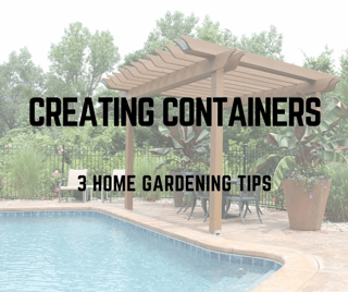 3_CONTAINER_GARDENING_TIPS_TO_ENHANCE_YOUR_ST._LOUIS_HOME_LANDSCAPING.png