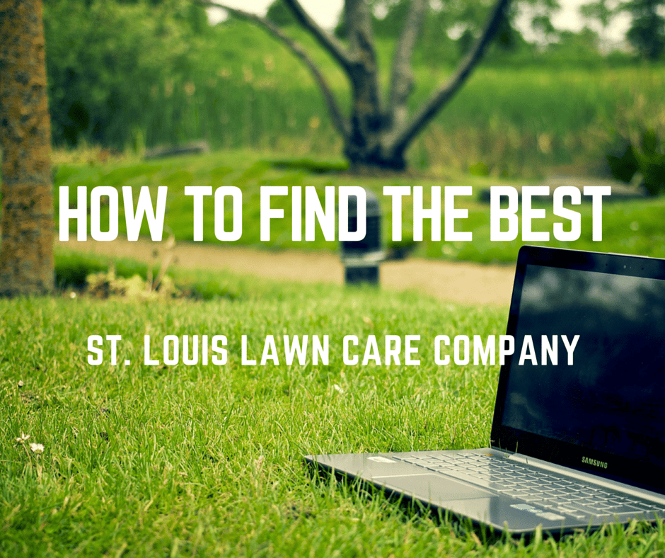 5 Tips For Finding the Best Lawn Care Company in St. Louis