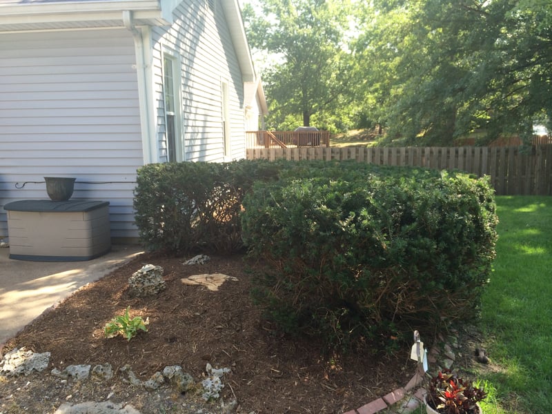 Landscape Cleanup Wildwood, MO