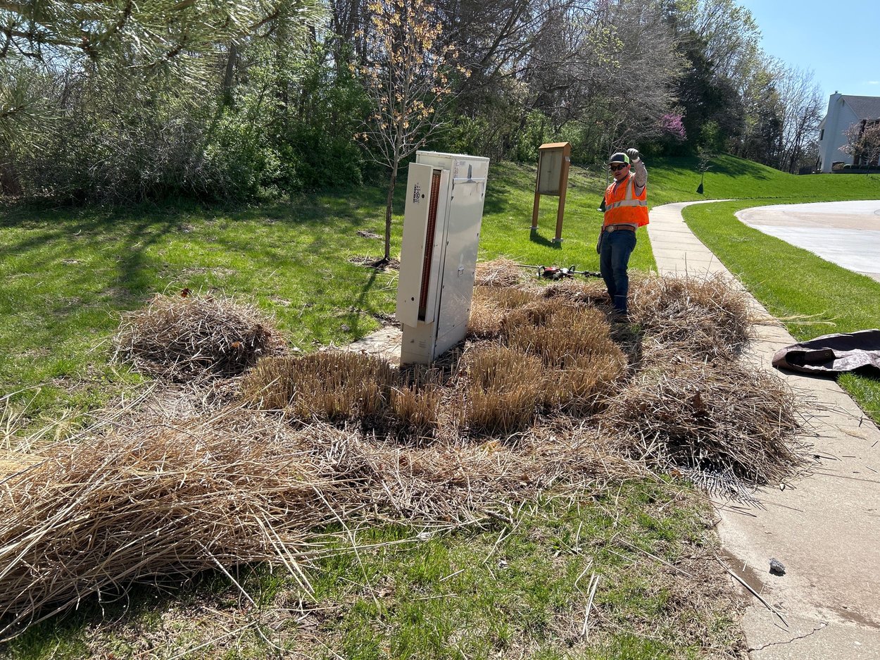 Spring Fall Removal Why Fall Cleanup Sets the Stage for a Healthy Spring
