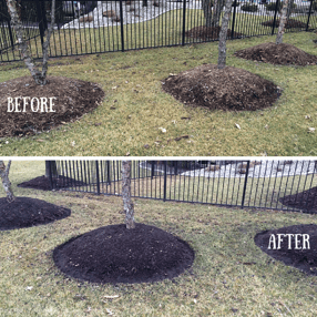 BCU_SE_Before__After