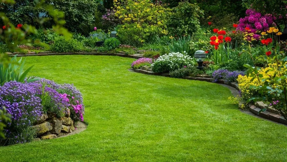 Beyond Curb Appeal Crafting Landscapes That Enrich Daily Life