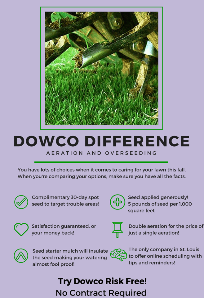 Dowco_Difference_Lawn_Renovations-545342-edited.png