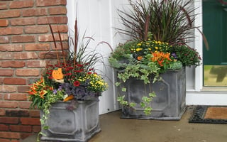 Fall_Container-1.jpg