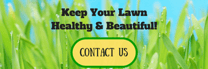 Fall_Renovation_Button