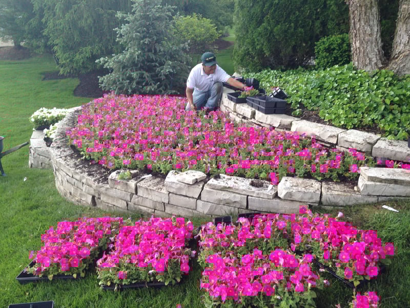 Summer Landscaping Services for st. Louis