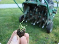 Lawn_Aeration Lawn_Aeration