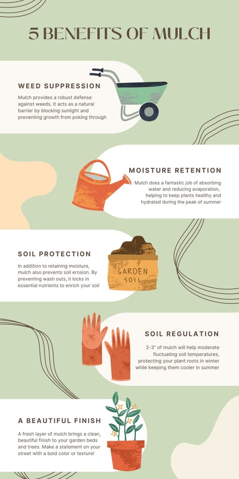 Mulch infographic for blog