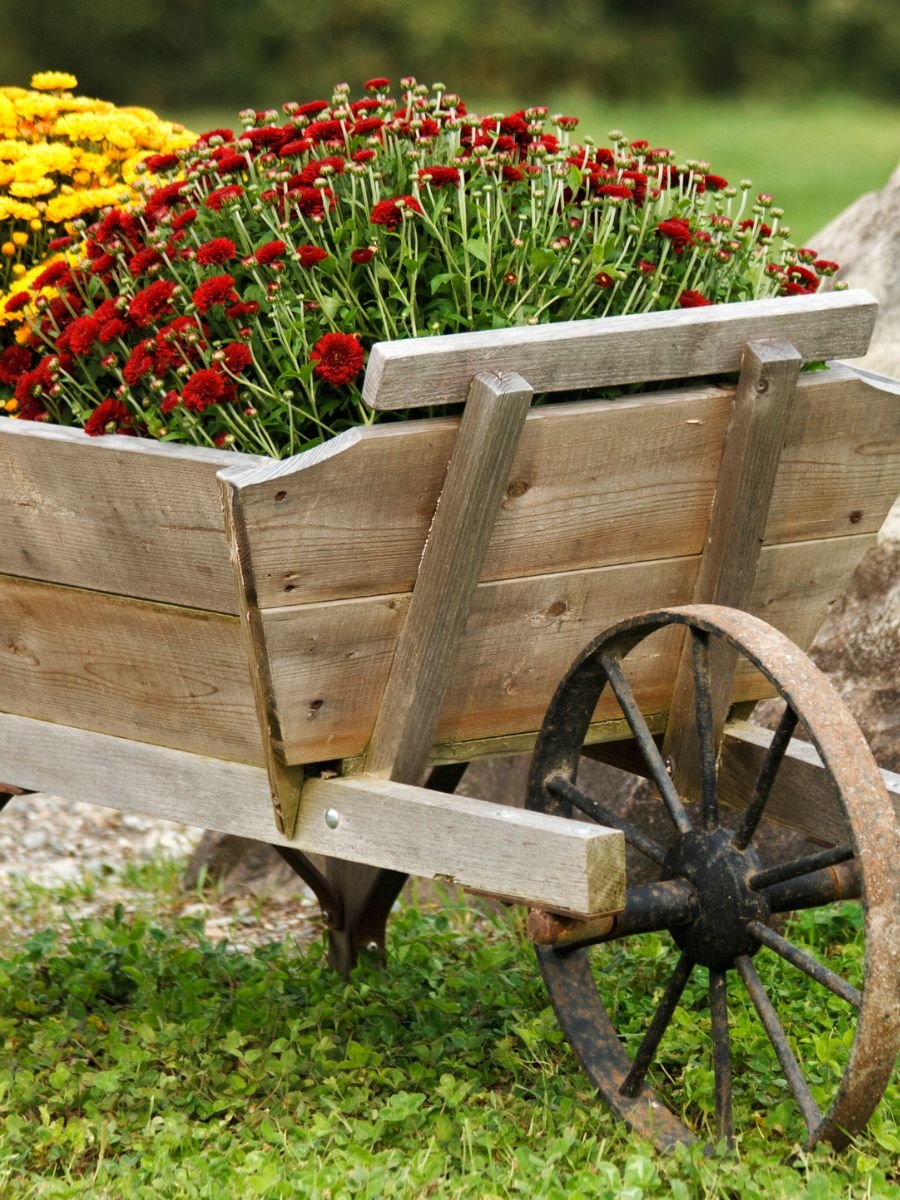 Planter (1)