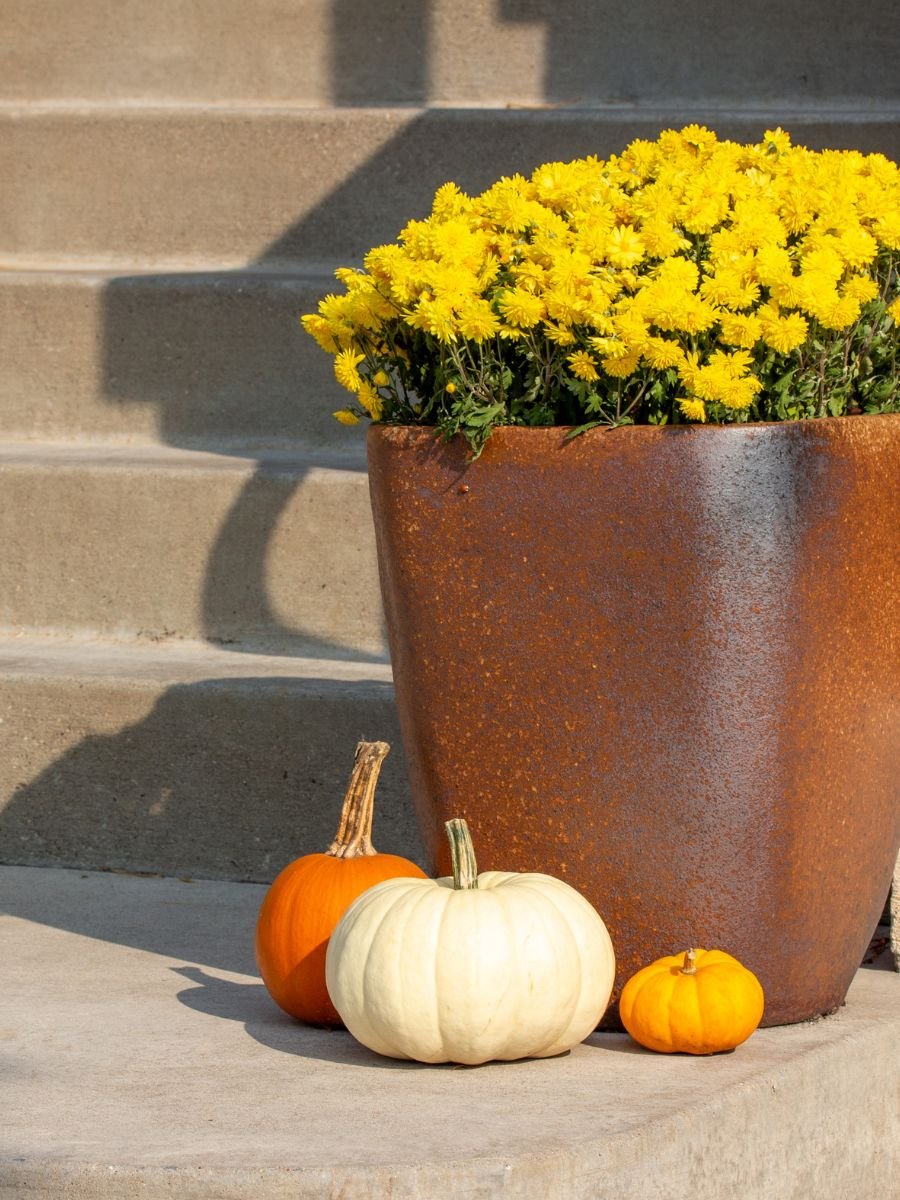Planter (2)