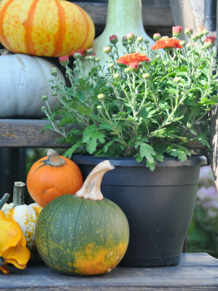 Planter