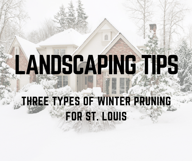 ST._LOUIS_LANDSCAPING_EXPERT_TIPS-_THREE_TYPES_OF_WINTER_TRIMMING_AND_PRUNING.png