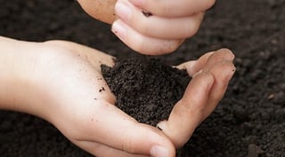 Soil_in_Hand.jpg