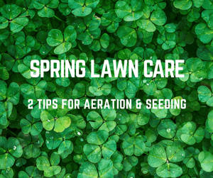 Spring_Aeration__Seeding_in_St._Louis.png