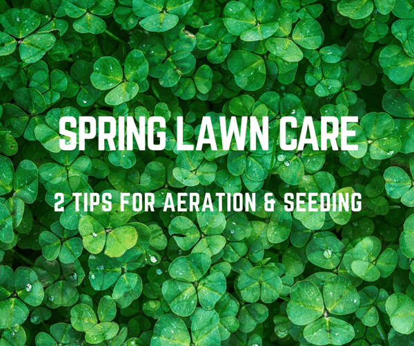 Spring Aeration & Seeding in St. Louis