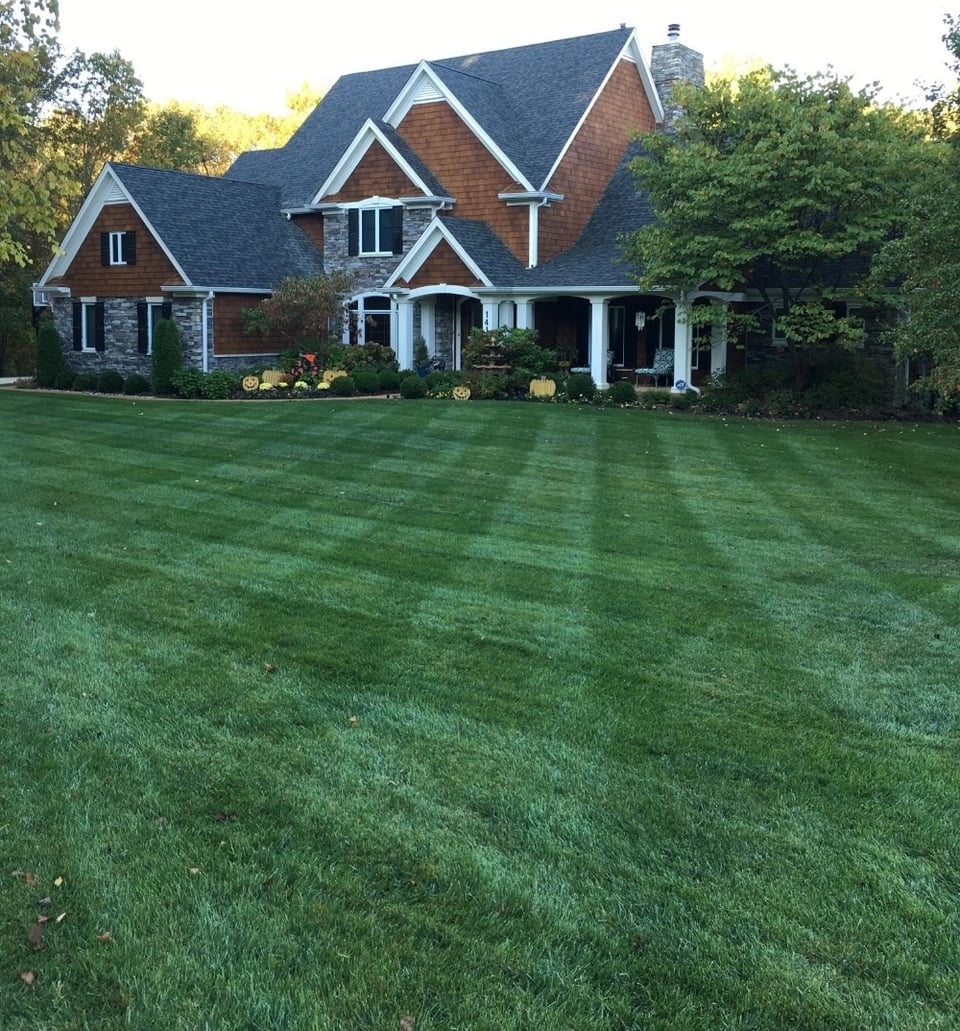 5 Tips For Finding the Best Lawn Care Company in St. Louis