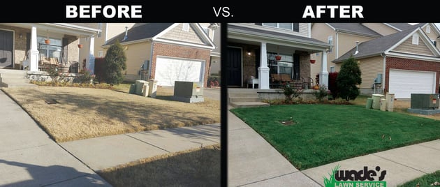 Wades Lawn Service Grass Painting.jpg