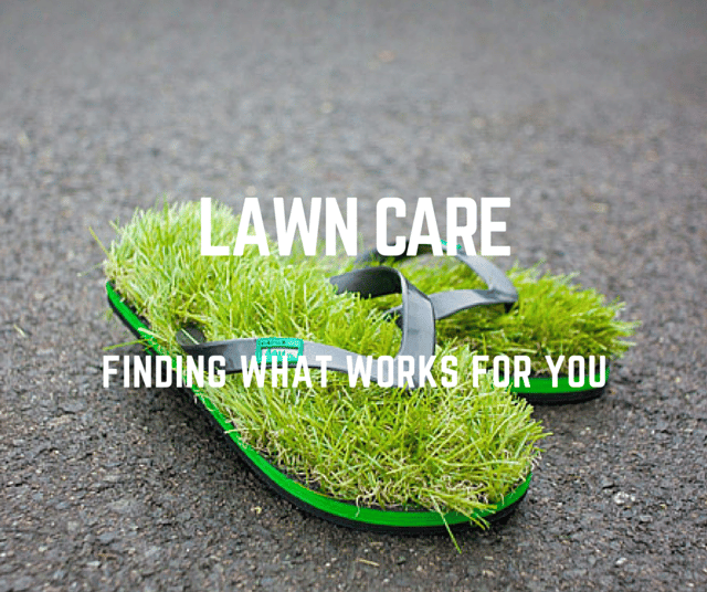 What St. Louis Lawn Care Program is Best for Me?