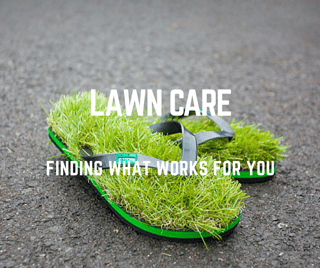 What_St._Louis_Lawn_Care_Program_is_Best_for_Me.png