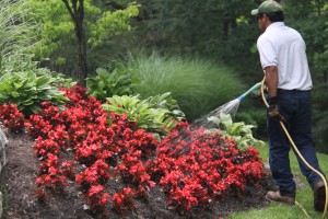 IMG_7589-300x200