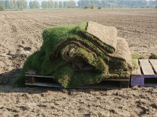 new construction st louis sod.jpg