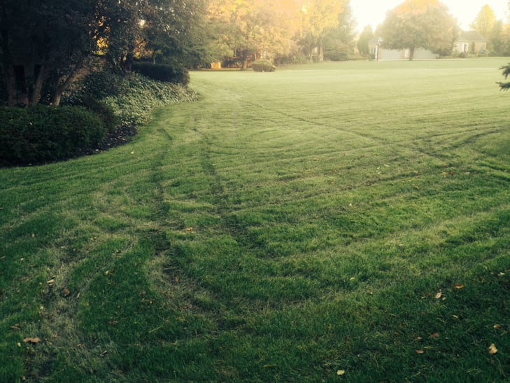 Common Lawn Watering Problems