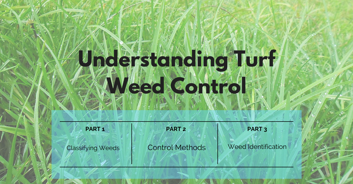 st_louis_lawn_weed_control_service