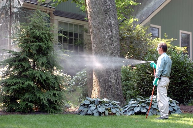 tree-spraying-1024x678