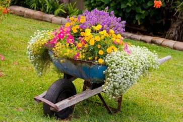 wheel_barrow_container