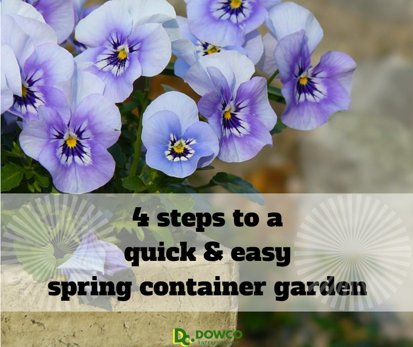 4_steps_to_a_quick_and_easy_spring_container_garden