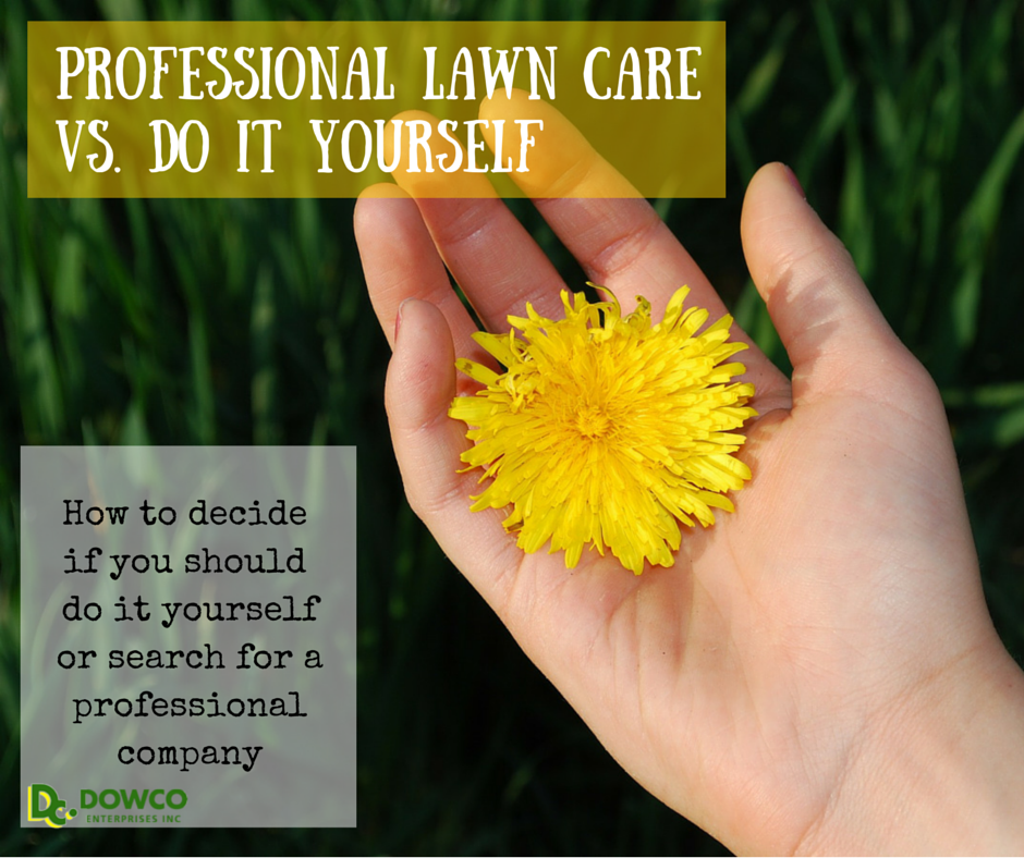 5-benefits-of-using-lawn-care-companies