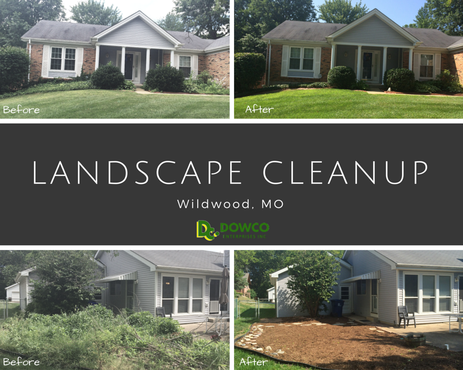 landscape cleanup