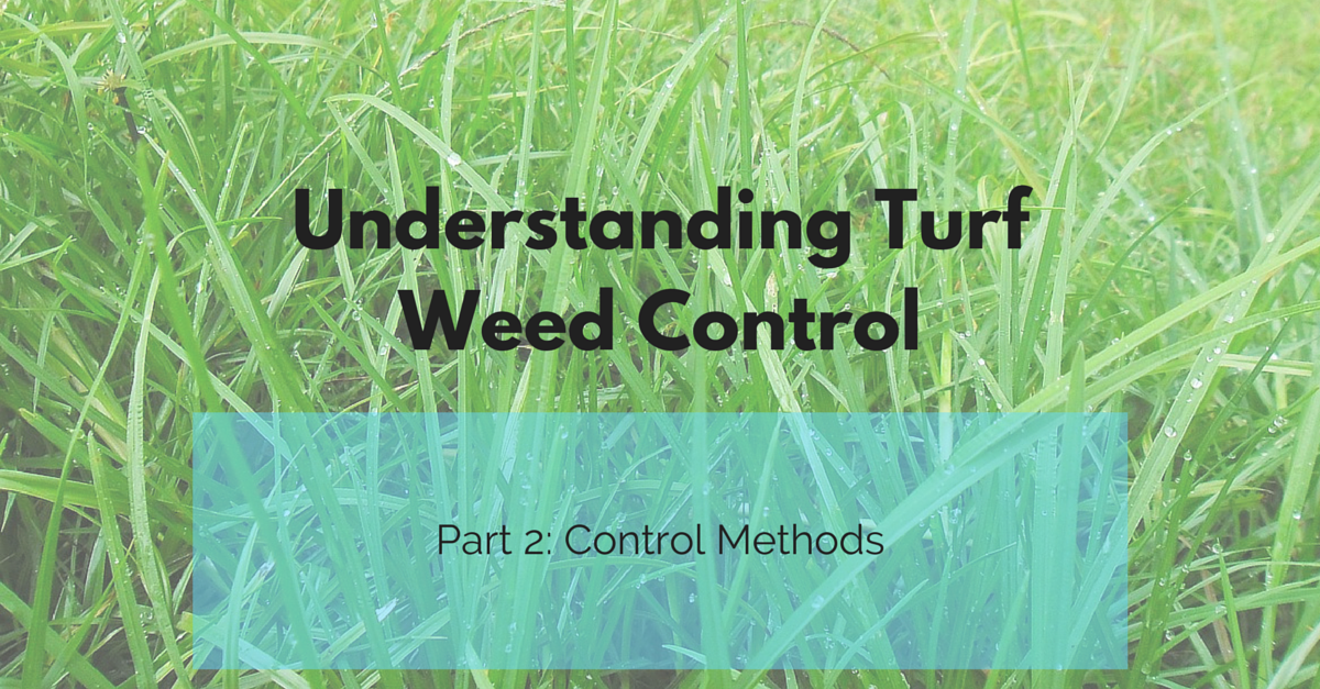St_Louis_weed_control_methods