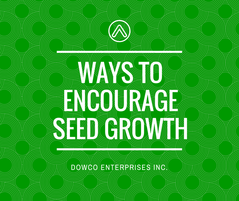 Ways_to_Encourage_Overseeding_Growth