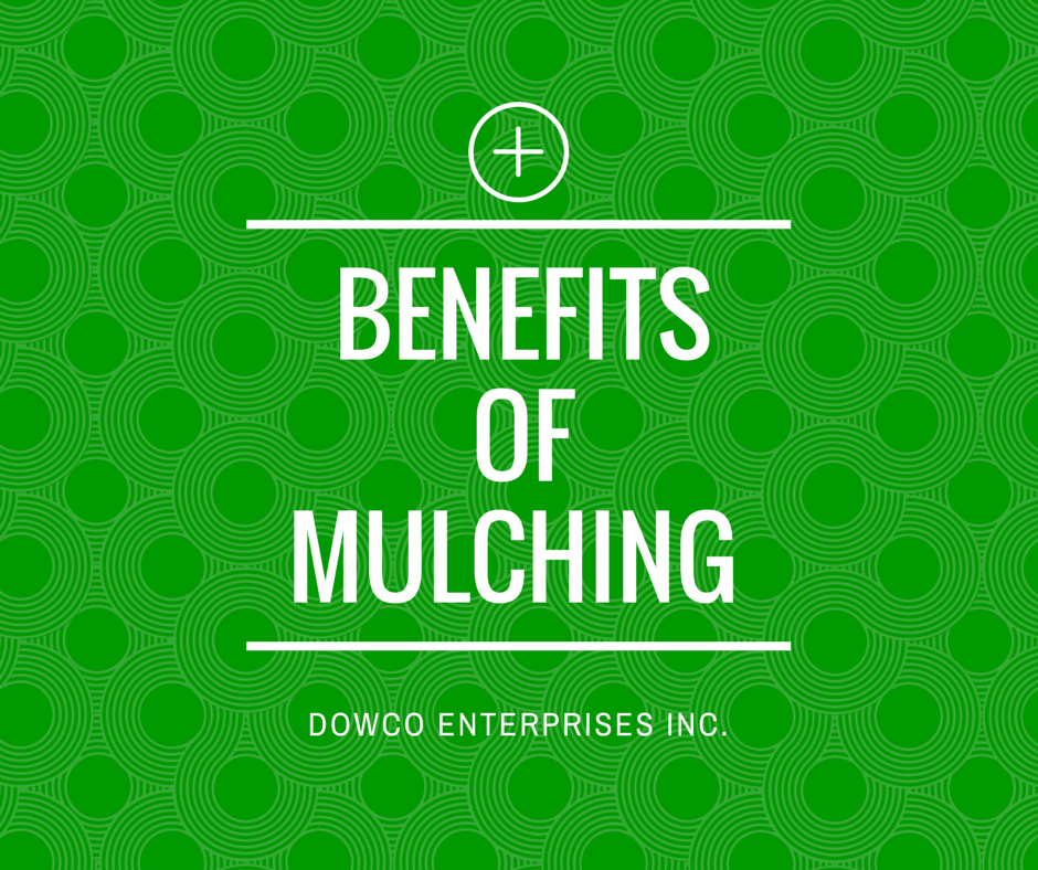 benefits_of_mulching
